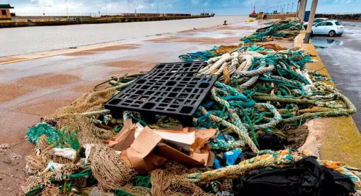 L'Iniziativa del WWF 'Ghost Gear': Proteggere il Mediterraneo dalle Rete Fantasma
