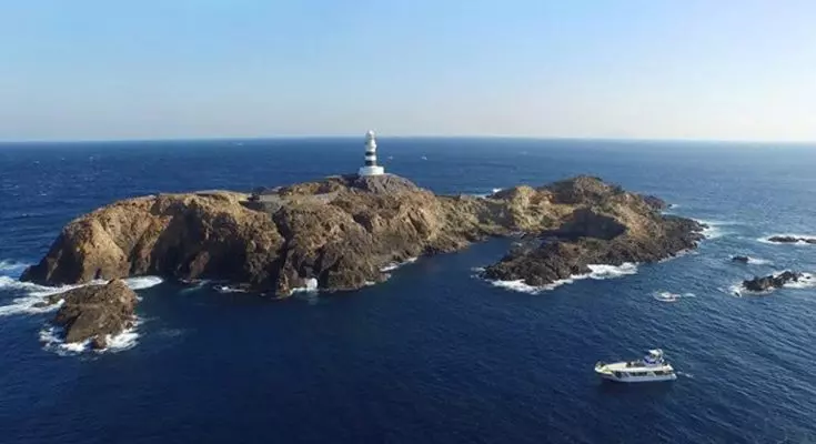 Mikomoto: Il Santuario degli Squali Martello e le Sfide della Ricerca Subacquea