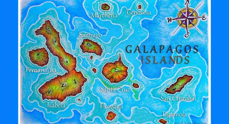 Galapagos: Un Ecosistema Unico tra Adattamento e Correnti Marine