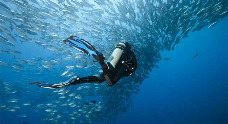 Click and Travel Svela le Avventure Subacquee del 2026: Destinazioni Esclusive e Ultime Opportunità