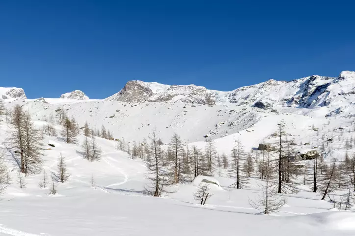 Valle d'Ayas Invernale: Un Percorso Incantato con le Ciaspole