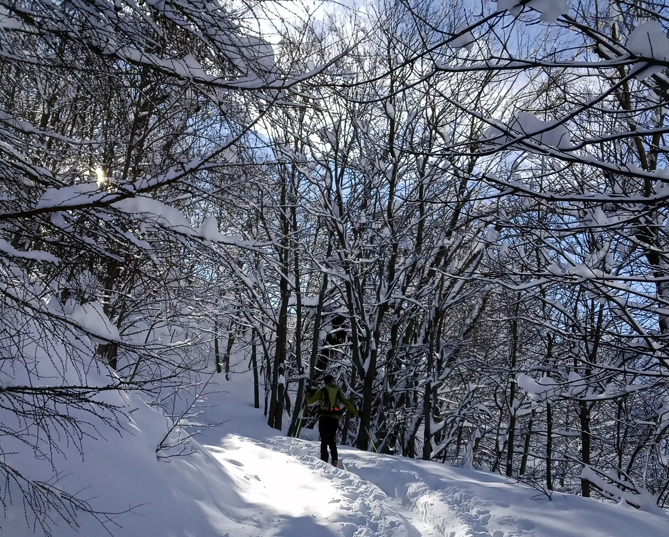 Ciaspolata Invernale: Alla Scoperta del Monte Ruissas nella Valle Maira