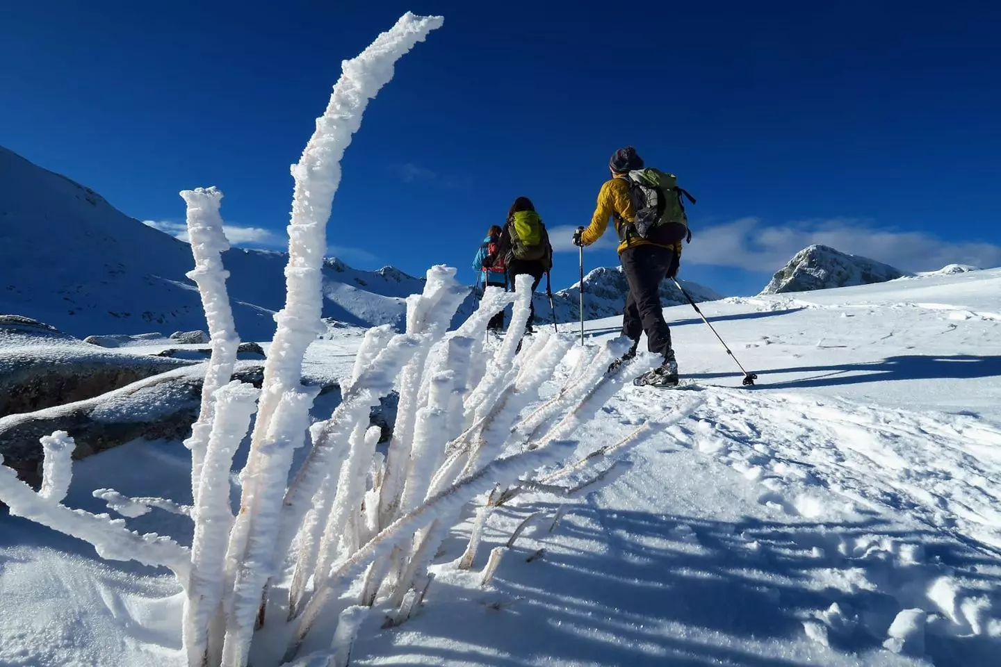 Avventura Invernale al Lago Santo: Neve, Panorami e Rifugi Accoglienti nell'Appennino Emiliano