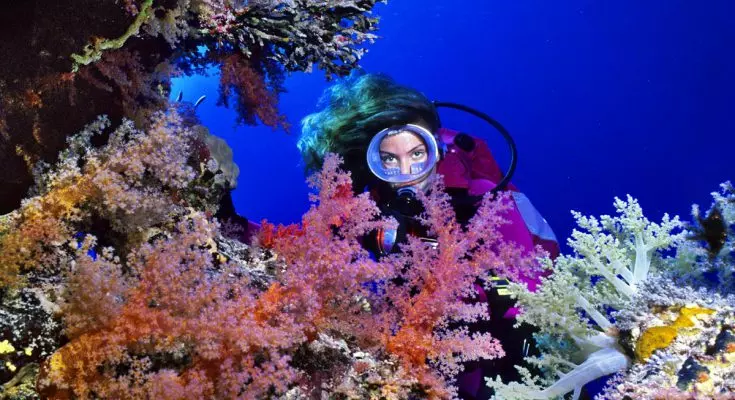 L'Influenza Umana nella Fotografia Subacquea: Oltre il Paesaggio Marino
