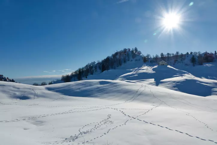 Ciaspolata Panoramica nelle Piccole Dolomiti: Un'Avventura Invernale tra Natura e Paesaggi Mozzafiato