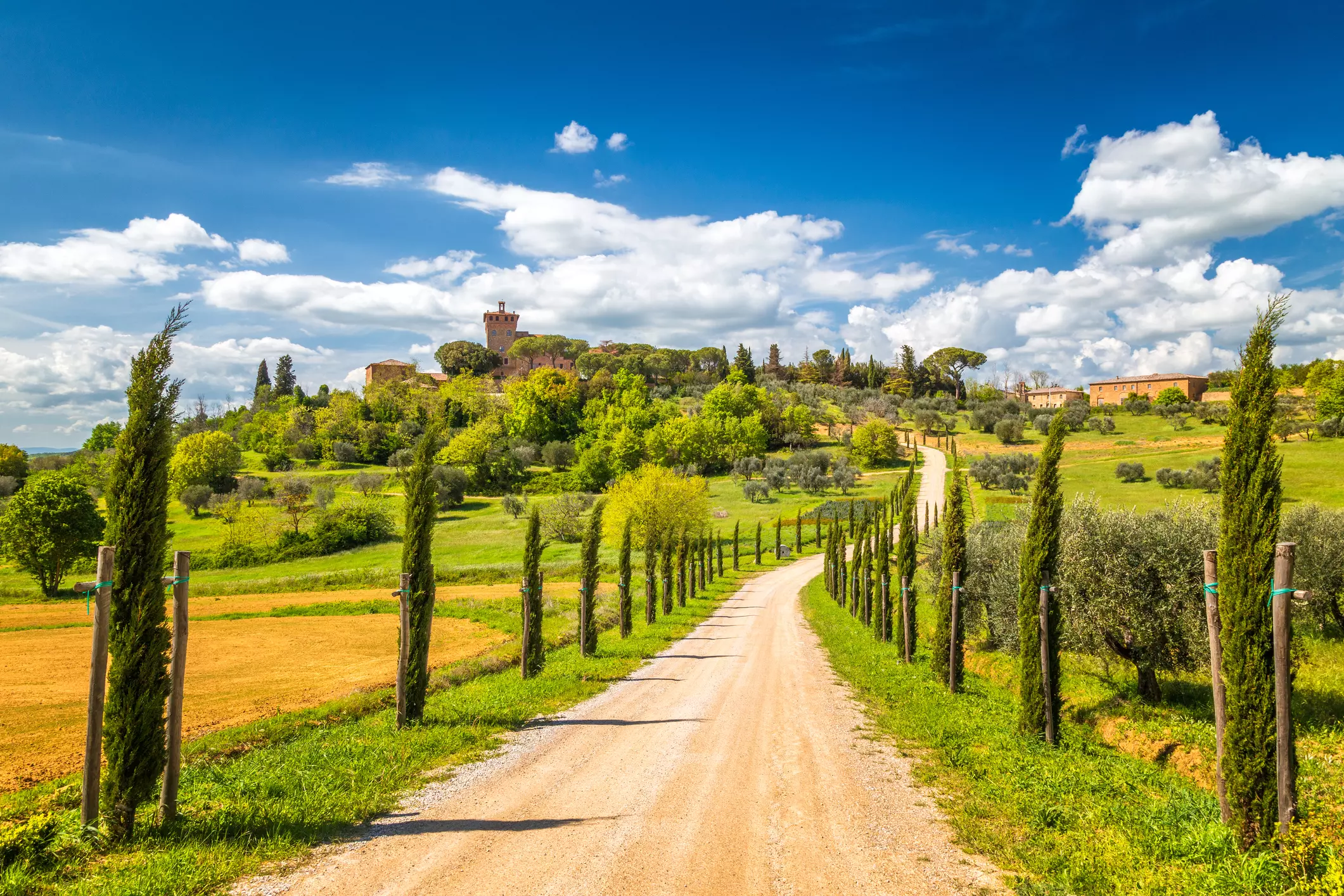 Scoprire la Val d'Orcia: Un Viaggio Incantevole tra Storia e Natura