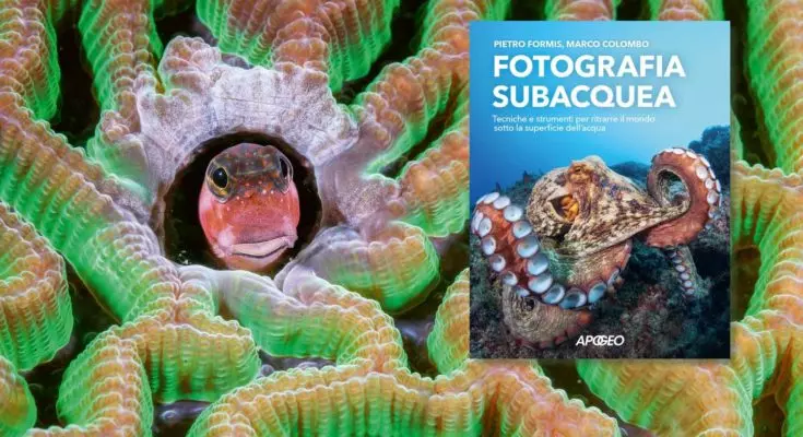Il Nuovo Manuale di Fotografia Subacquea: Un Viaggio nel Mondo Sommerso