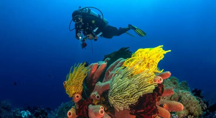 Avventure Sottomarine: Le Offerte Esclusive di Mete Subacque per il 2026-2027
