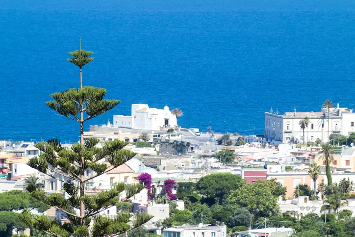 Ischia in Primavera: Un'Ode alla Natura, alla Storia e ai Panorami Mozzafiato