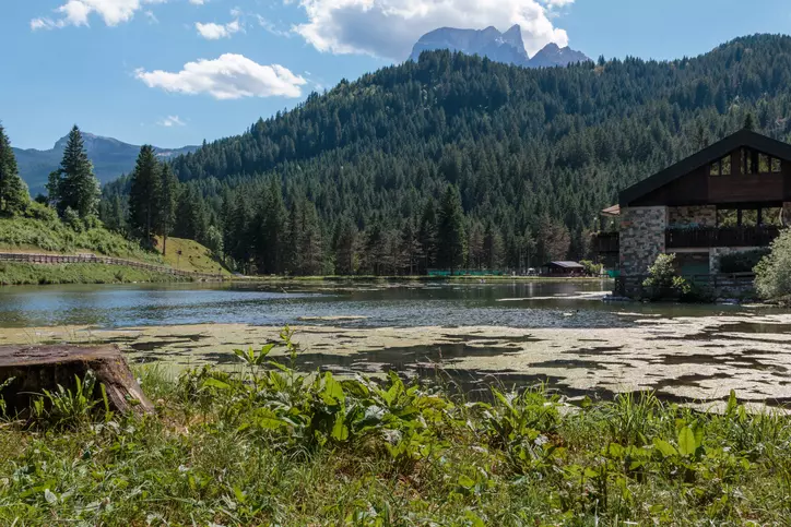 Itinerari Primaverili nel Veneto: Natura e Tradizione a Ritmo Lento