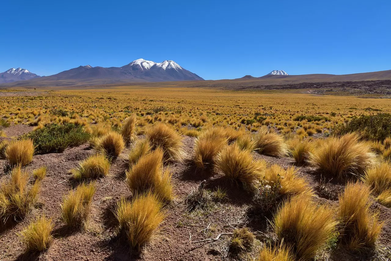 Carretera Austral: Un'Odissea in Bicicletta nella Patagonia Selvaggia