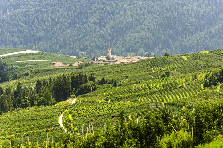 Scoprire il Trentino: Viaggi Incantevoli tra Fiori e Paesaggi Primaverili