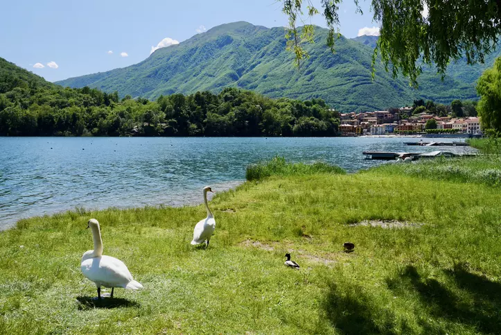 Esplorando il Piemonte: Un Viaggio Tra Mergozzo e il Monte Orfano