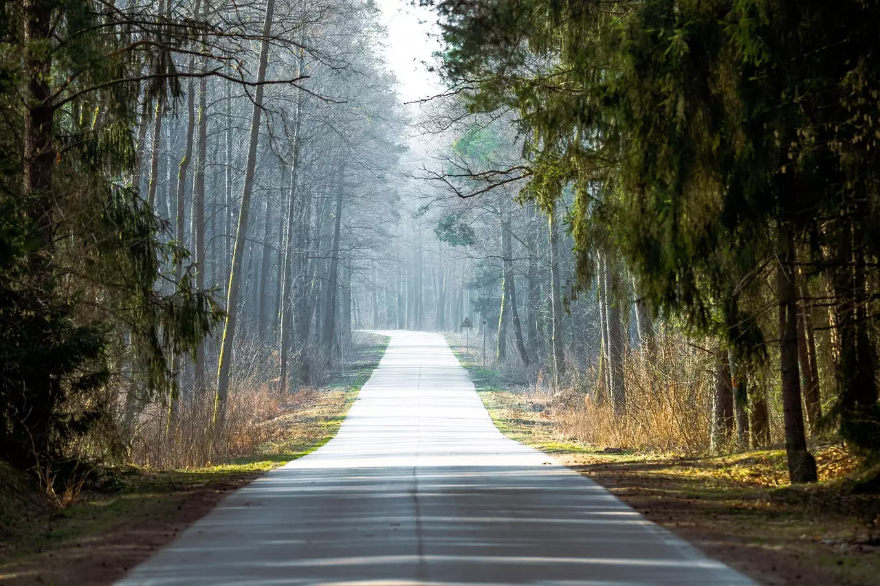 Esplorando la Green Velo: un'avventura ciclistica senza tempo nella Polonia orientale