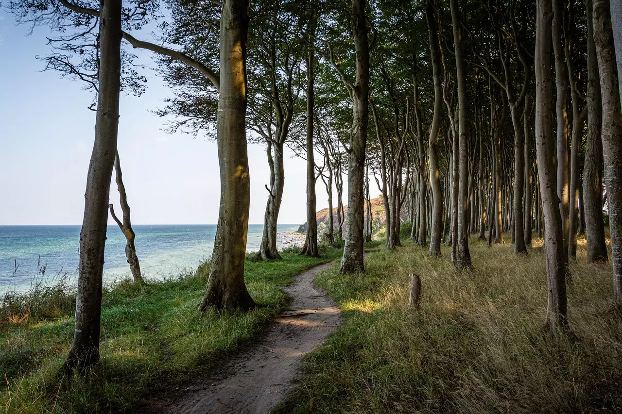 La Ciclovia della Pomerania: un Percorso Indimenticabile tra Storia e Natura Selvaggia