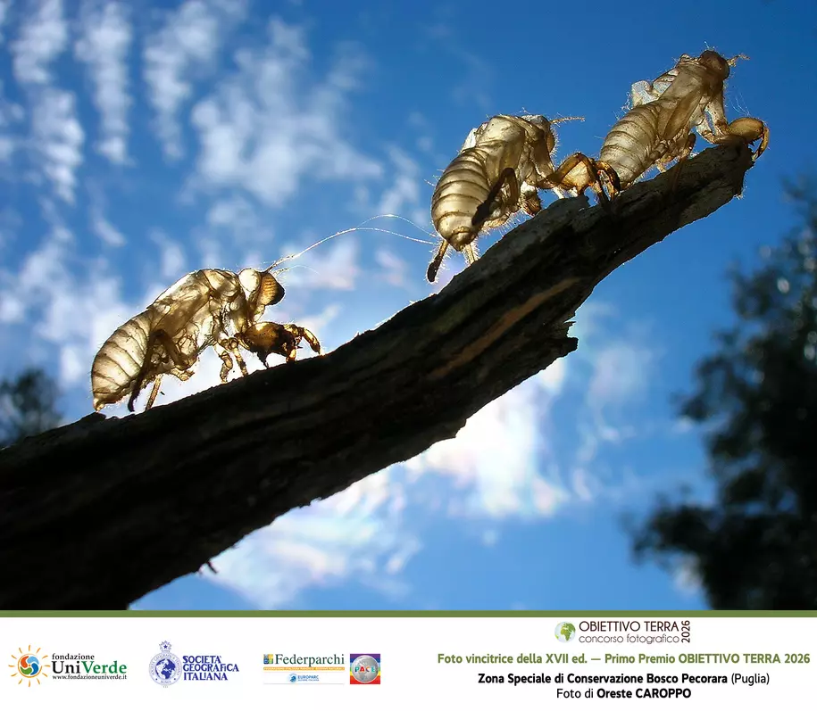 Obiettivo Terra 2026: Celebrazione della Biodiversità e dell'Inclusione