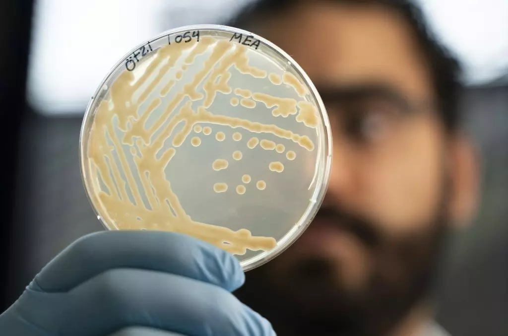I Misteri Nascosti del Microbiota di Ötzi: Una Finestra sul Passato e un Ponte verso il Futuro Alimentare