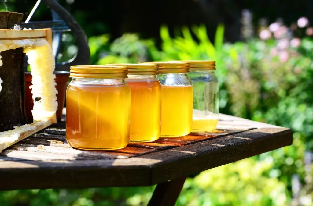 5 Percorsi per Riscoprire i Sapori Autentici delle Montagne Italiane