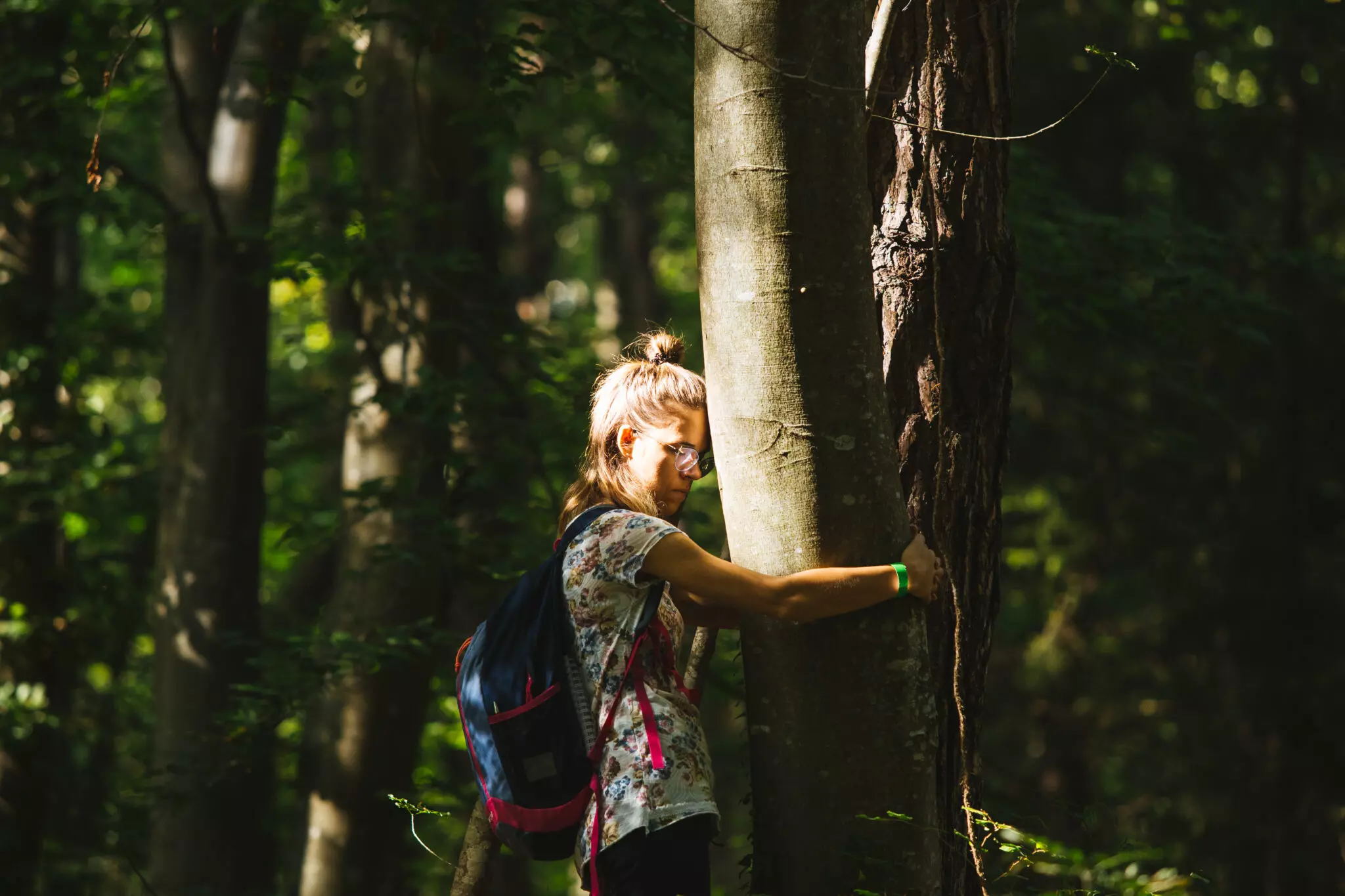 Festival Orme 2026: Un Percorso Annuale di Natura e Cultura in Fai della Paganella