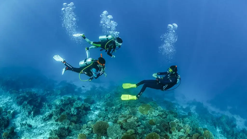 Immersioni e Benessere Mentale Giovanile: Un'Analisi Rivoluzionaria