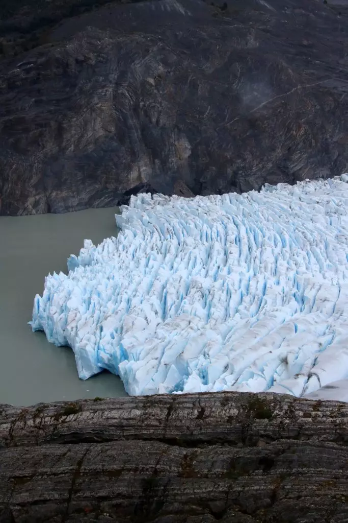 Biodiversità Glaciale: Un Tesoro Nascosto Sotto Minaccia