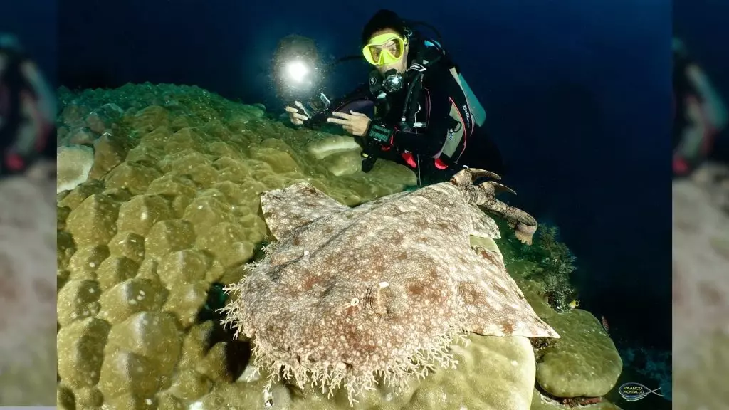 Esplorando i Segreti Nascosti di Raja Ampat: Un Viaggio Subacqueo Indimenticabile tra Grotte e Vita Marina Inesplorata