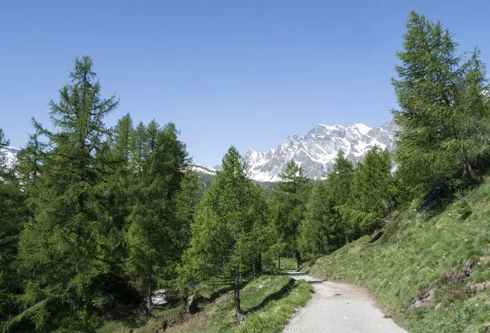 L'Alpe Devero: Un Paradiso Alpino Tra Natura Incontaminata e Sentieri Suggestivi