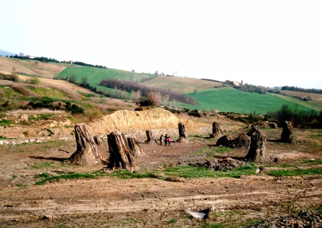 Un Viaggio Preistorico: Le Foreste Fossili Nascoste d'Italia