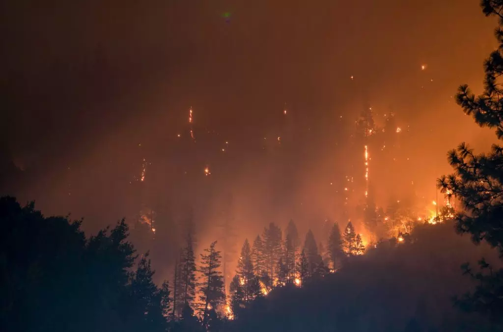 Incendio devastante a Fontainebleau: la mecca del bouldering francese in pericolo