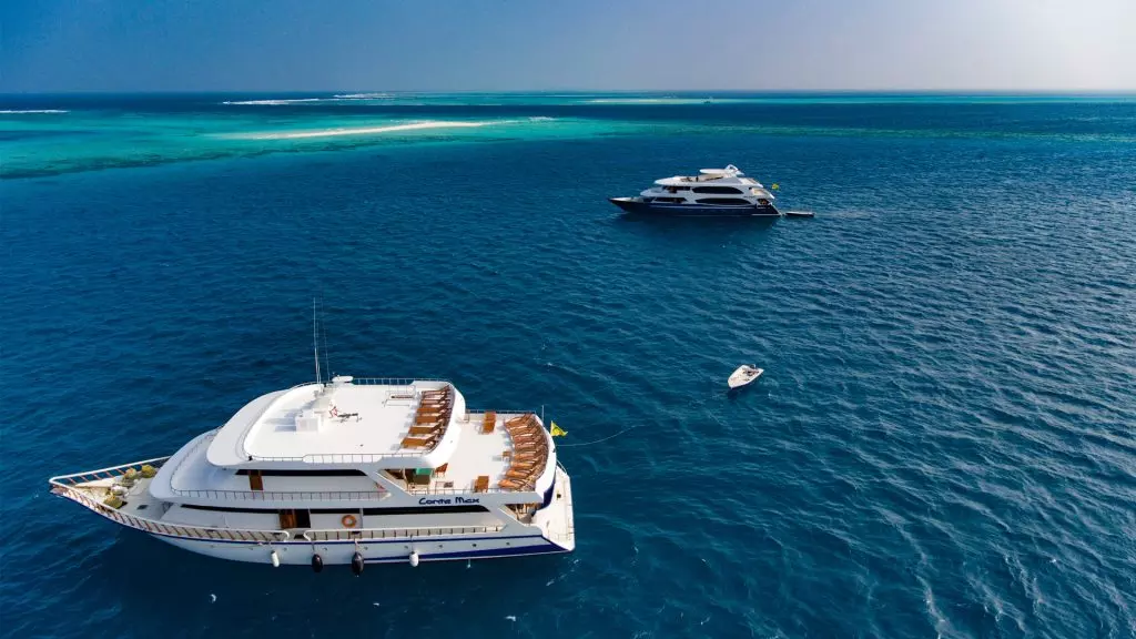 Maldive: L'Avventura Subacquea Perfetta tra Agosto e Settembre