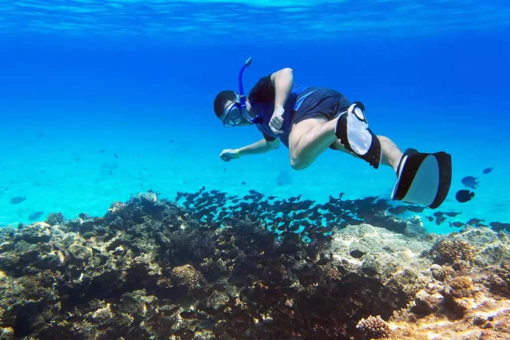 Le Dieci Migliori Destinazioni per lo Snorkeling nel Mar Rosso