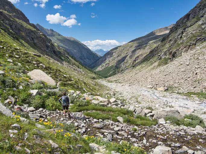 Valnontey: Un'Immersione nella Natura Alpina Incontaminata del Gran Paradiso