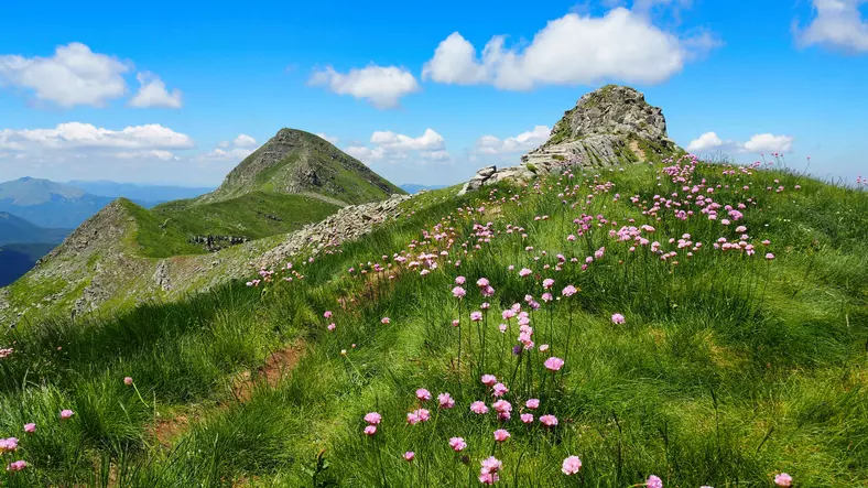 Cinque Percorsi Indimenticabili nell'Appennino Emiliano per l'Estate