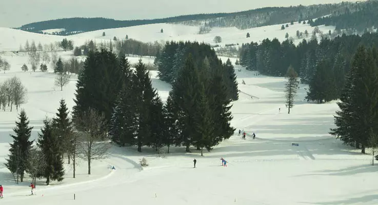 Asiago celebra i 90 anni di eccellenza olimpica negli sport invernali con "Altopiano Olimpico"