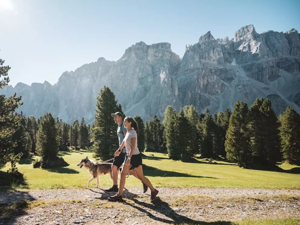 Esplorando l'Incanto Estivo del Plan de Corones: Un Viaggio Tra Natura e Cultura