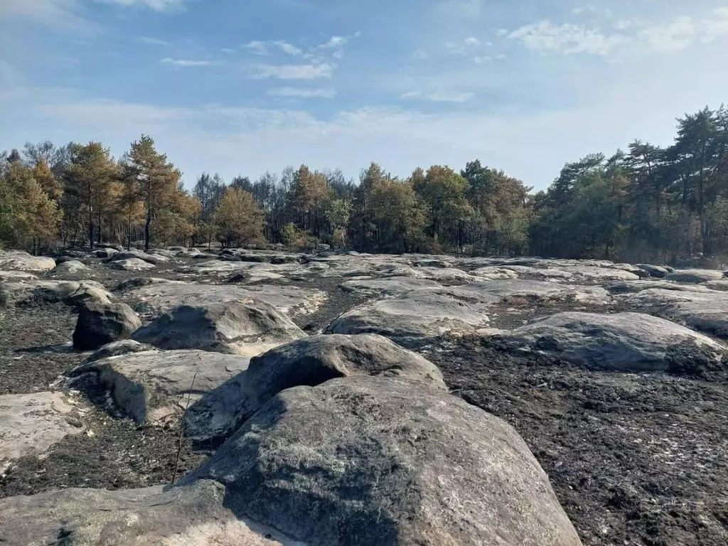 Indagine sugli incendi di Fontainebleau: un vigile del fuoco volontario sotto accusa