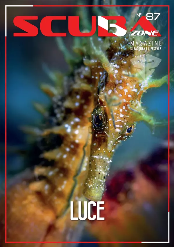 ScubaZone n. 87: L'Arte di Vedere Sott'acqua con la Luce