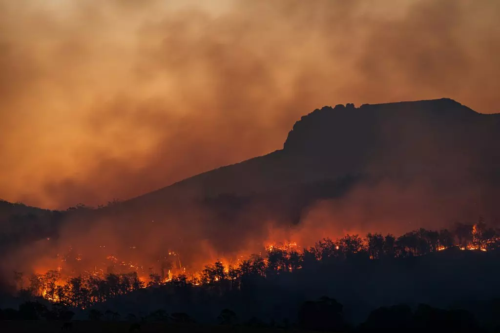 Il Mediterraneo in fiamme: un'analisi completa tra cause umane e naturali
